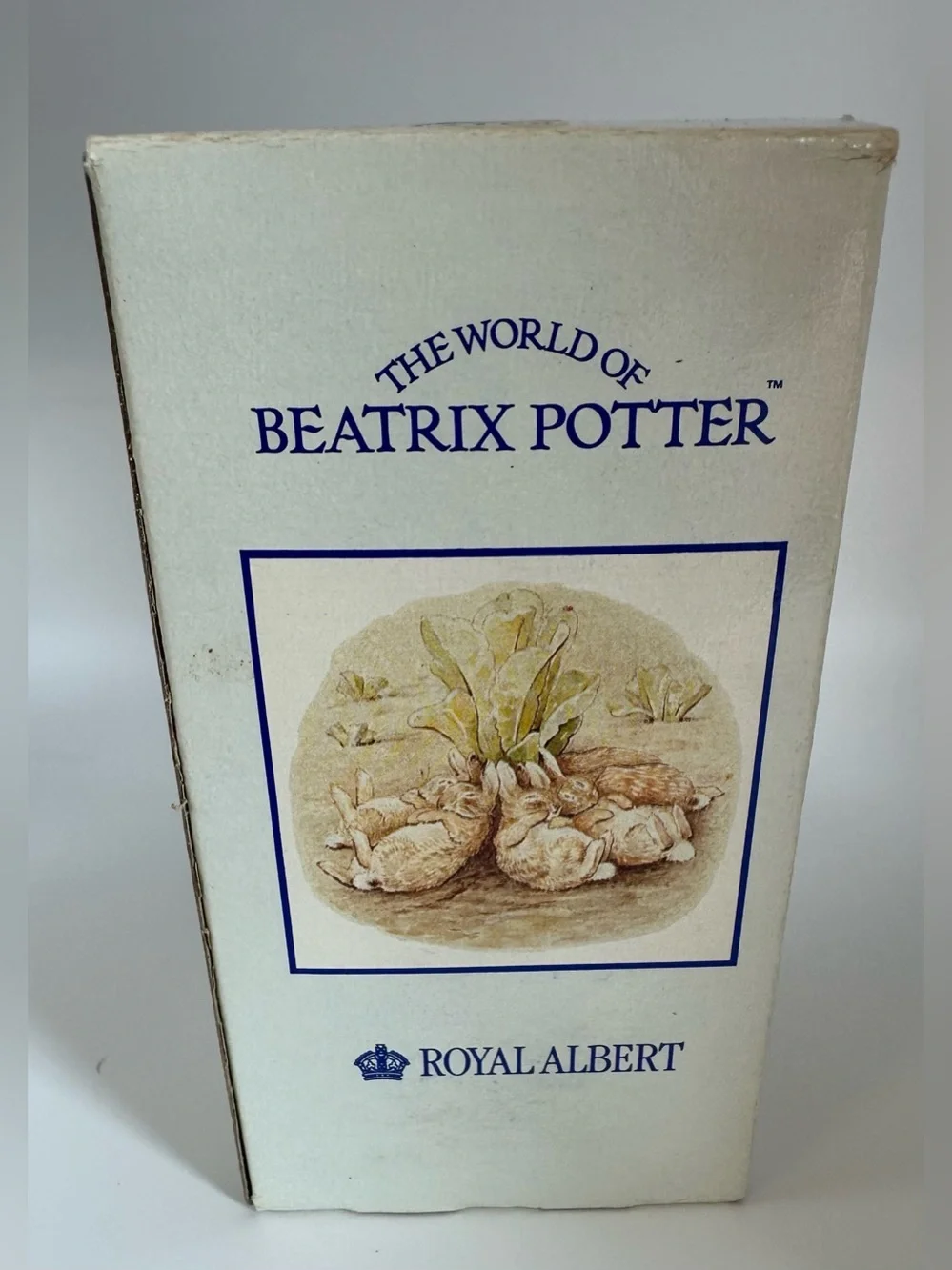 Royal Albert Beatrix Potter “Peter In The Gooseberry Net”